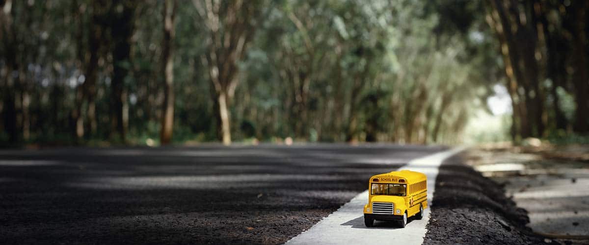 keep child safe at school bus with Devkota law firm